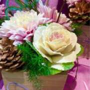 ヒメ日記 2025/12/29 19:20 投稿 みやび 性腺熟女100％鶯谷（デリヘル市場）