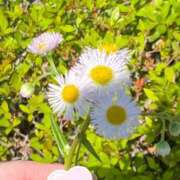 ヒメ日記 2025/05/01 16:24 投稿 かれん ウルトラドリーム