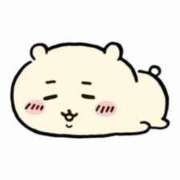 ヒメ日記 2025/11/10 23:59 投稿 かれん ウルトラドリーム