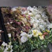 ヒメ日記 2025/04/26 19:28 投稿 ユナ OPELA（オペラ）