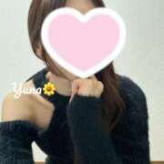 ヒメ日記 2025/06/27 23:48 投稿 ユナ OPELA（オペラ）