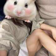 ヒメ日記 2025/05/09 03:17 投稿 ゆう☆理想の彼女届けます♪ ポポロン☆広島