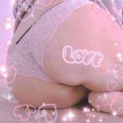 ヒメ日記 2026/03/12 16:13 投稿 りょうこ しろうさぎ