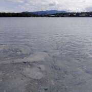 ヒメ日記 2025/09/08 18:04 投稿 斎藤にじは 全裸にされた女たちor欲しがり痴漢電車