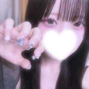 りの 🐈‍⬛🎀 クラブアリア -CLUB ARIA-