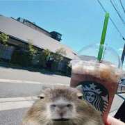 あめ デート‪💗‪🫶🏻‎ プリンセスセレクション姫路