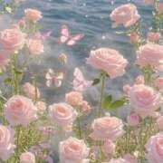 ヒメ日記 2025/11/12 20:26 投稿 しお ぽちゃらん神栖店