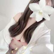 ヒメ日記 2025/06/01 17:56 投稿 こい ごほうびSPA千葉店