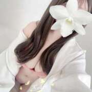 ヒメ日記 2025/10/24 12:10 投稿 こい ごほうびSPA千葉店