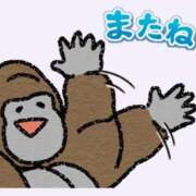 ヒメ日記 2025/06/20 06:22 投稿 むぎ【OP豊富で愛嬌抜群】 STELLA TOKYO－ステラトウキョウ－