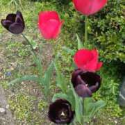 ヒメ日記 2025/06/06 10:33 投稿 岩橋 美代子 人妻セレブ宮殿