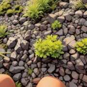 ヒメ日記 2025/06/15 11:02 投稿 岩橋 美代子 人妻セレブ宮殿