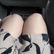 岩橋 美代子 新しい 人妻セレブ宮殿