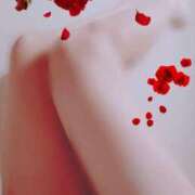 ヒメ日記 2025/04/14 12:39 投稿 きょうか 奥様なでしこ