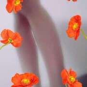 ヒメ日記 2025/04/14 17:44 投稿 きょうか 奥様なでしこ