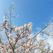 ヒメ日記 2025/04/23 14:50 投稿 みるく イキなり生彼女from大宮