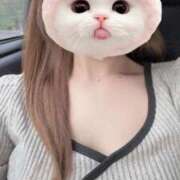 ヒメ日記 2025/11/19 03:03 投稿 みるく イキなり生彼女from大宮