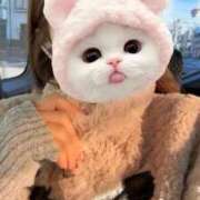 ヒメ日記 2025/12/27 03:20 投稿 みるく イキなり生彼女from大宮