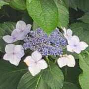 ヒメ日記 2025/06/26 19:58 投稿 そら 熟生クラブ