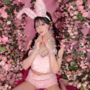 ヒメ日記 2025/07/07 17:15 投稿 マリィ きらめけ！にゃんにゃん学園in大宮