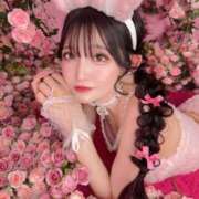 ヒメ日記 2025/07/08 19:15 投稿 マリィ きらめけ！にゃんにゃん学園in大宮