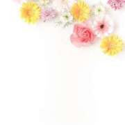 ヒメ日記 2025/04/25 09:57 投稿 新人・響(ひびき) グランドオペラ福岡