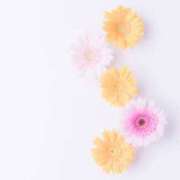 ヒメ日記 2025/05/19 10:03 投稿 新人・響(ひびき) グランドオペラ福岡