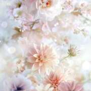 ヒメ日記 2025/05/24 14:31 投稿 新人・響(ひびき) グランドオペラ福岡