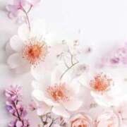 ヒメ日記 2025/06/18 16:01 投稿 新人・響(ひびき) グランドオペラ福岡