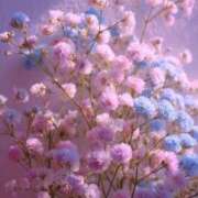 ヒメ日記 2025/06/25 09:03 投稿 新人・響(ひびき) グランドオペラ福岡