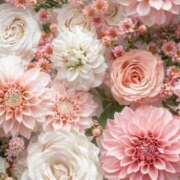 ヒメ日記 2025/06/27 14:51 投稿 新人・響(ひびき) グランドオペラ福岡