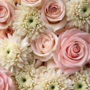 ヒメ日記 2025/06/28 14:09 投稿 新人・響(ひびき) グランドオペラ福岡