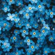 ヒメ日記 2025/07/20 11:56 投稿 新人・響(ひびき) グランドオペラ福岡