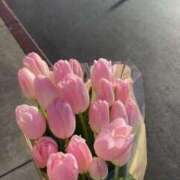 新人・響(ひびき) ご予約お礼🌼 グランドオペラ福岡