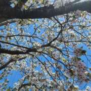 ヒメ日記 2025/04/10 15:33 投稿 みどり 激安ピーチ