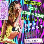 ヒメ日記 2025/04/11 01:38 投稿 超絶★黒ギャルネキ ANEGAL (アネギャル)