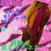 ヒメ日記 2025/04/14 23:19 投稿 超絶★黒ギャルネキ ANEGAL (アネギャル)