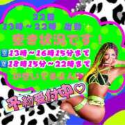 ヒメ日記 2025/04/18 00:35 投稿 超絶★黒ギャルネキ ANEGAL (アネギャル)