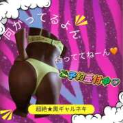 ヒメ日記 2025/04/22 12:32 投稿 超絶★黒ギャルネキ ANEGAL (アネギャル)