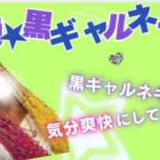 ヒメ日記 2025/05/08 09:13 投稿 超絶★黒ギャルネキ ANEGAL (アネギャル)