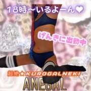 超絶★黒ギャルネキ 向かってる！！ ANEGAL (アネギャル)