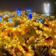 ヒメ日記 2025/07/10 02:34 投稿 さお 熟女の風俗最終章 仙台店