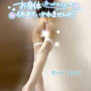 ヒメ日記 2025/04/16 01:41 投稿 はなび【待望の高ランク美女】 Mode（モード）◆理想の彼女◆