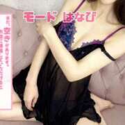 ヒメ日記 2025/04/16 21:02 投稿 はなび【待望の高ランク美女】 Mode（モード）◆理想の彼女◆