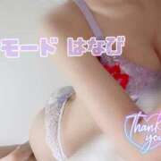 ヒメ日記 2025/04/17 03:11 投稿 はなび【待望の高ランク美女】 Mode（モード）◆理想の彼女◆