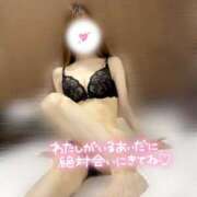 ヒメ日記 2025/04/23 16:41 投稿 はなび【待望の高ランク美女】 Mode（モード）◆理想の彼女◆