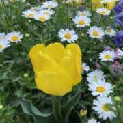 ヒメ日記 2025/04/12 12:06 投稿 はるか feel＆airi