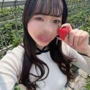 ヒメ日記 2025/04/13 08:19 投稿 うい CECIL