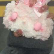 ヒメ日記 2025/04/14 19:32 投稿 うい CECIL