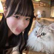 ヒメ日記 2025/06/14 16:21 投稿 うい CECIL